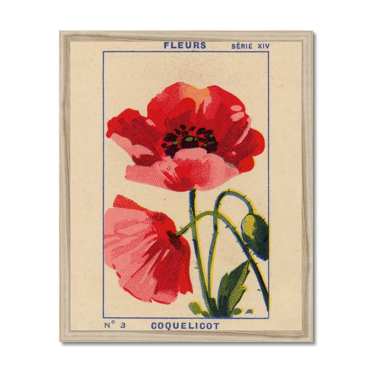 Coquelicot (Poppy) Fine Art Print