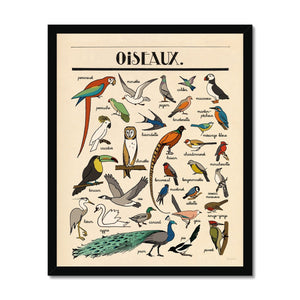 Oiseaux Framed Fine Art Print