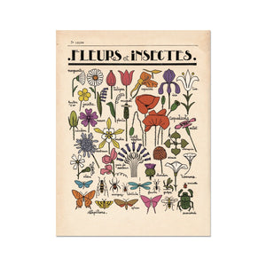 Fleurs et Insectes Fine Art Print