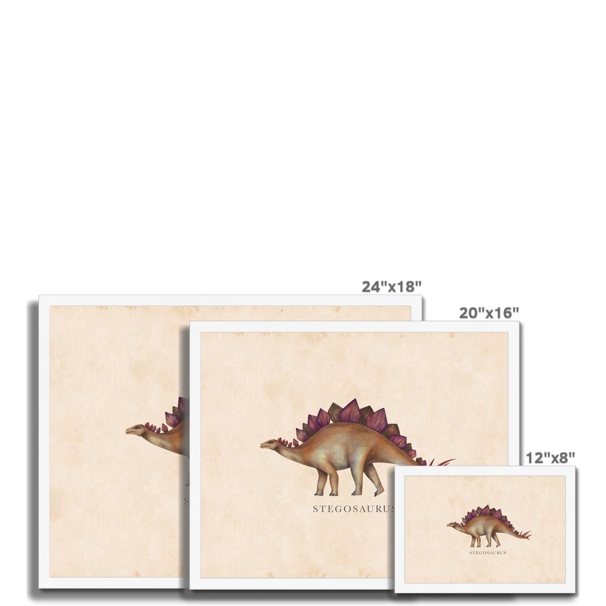 Vintage Stegosaurus Framed Fine Art Print