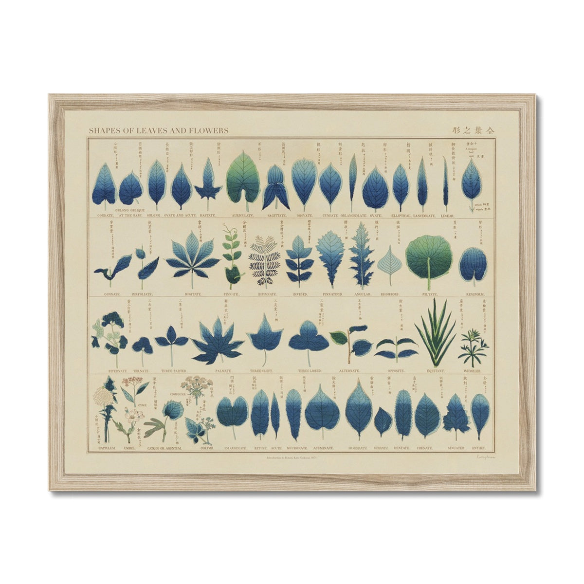 Japanese Shapes of Leaves & Flowers Fine Art Print