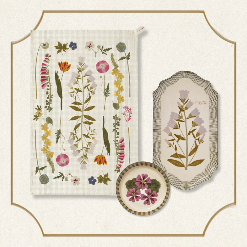 The Living Herbarium Gift Set