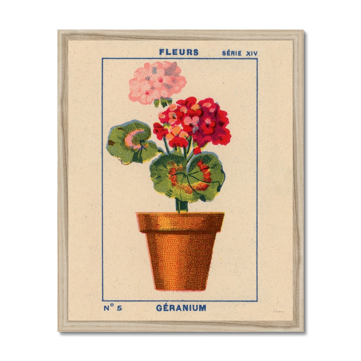 Geranium Fine Art Print