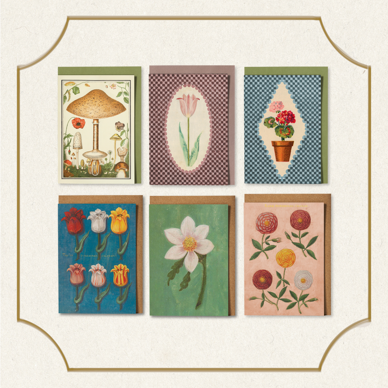 Botanical Greeting Card Set - Pack of 6