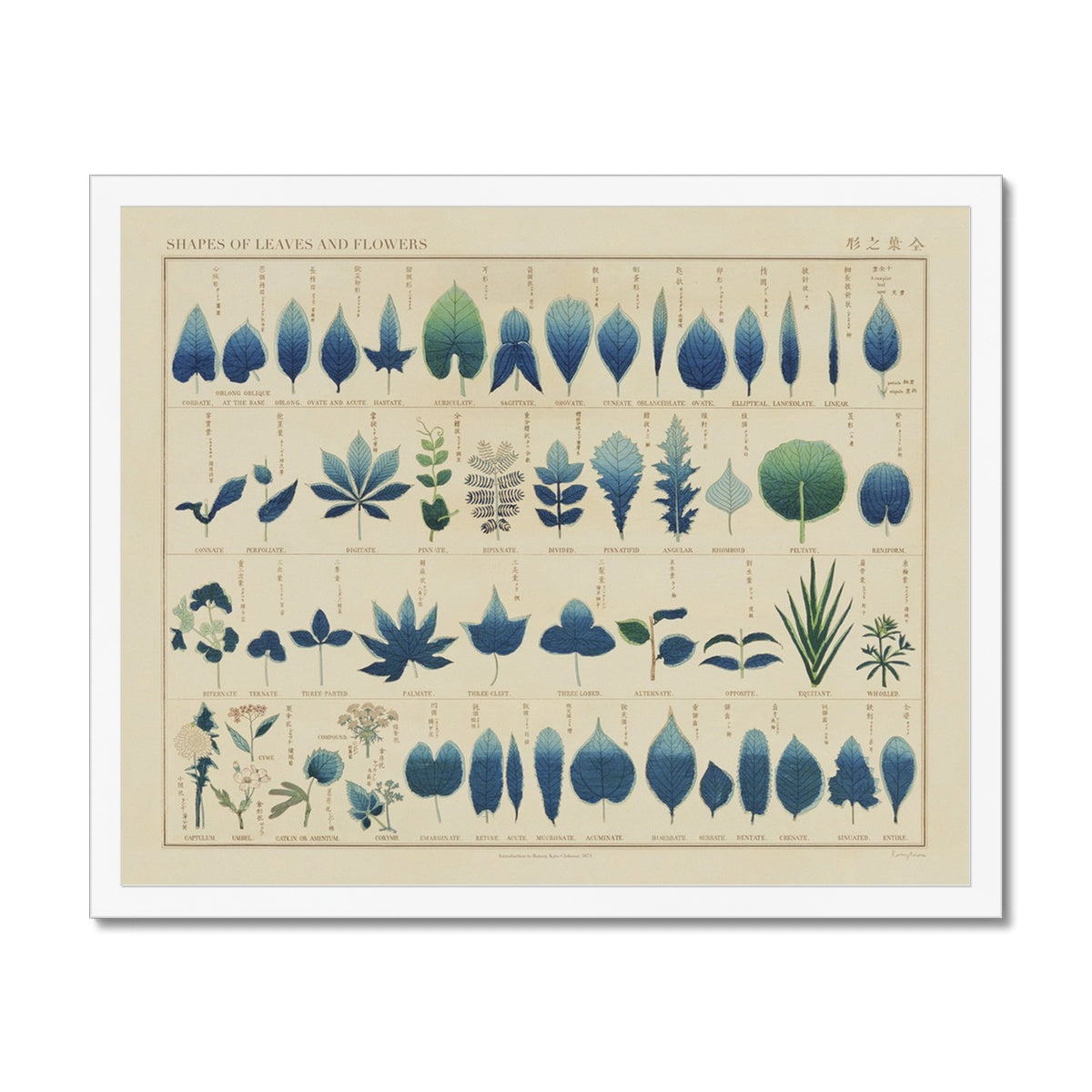 Japanese Shapes of Leaves & Flowers Framed Fine Art Print