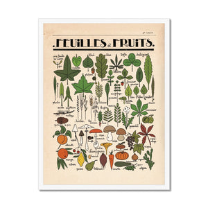 Feuilles et Fruits Framed Fine Art Print