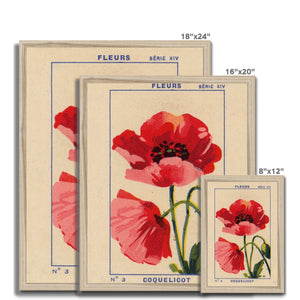 Coquelicot (Poppy) Framed Fine Art Print