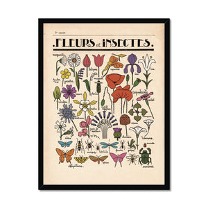 Fleurs et Insectes Framed Fine Art Print