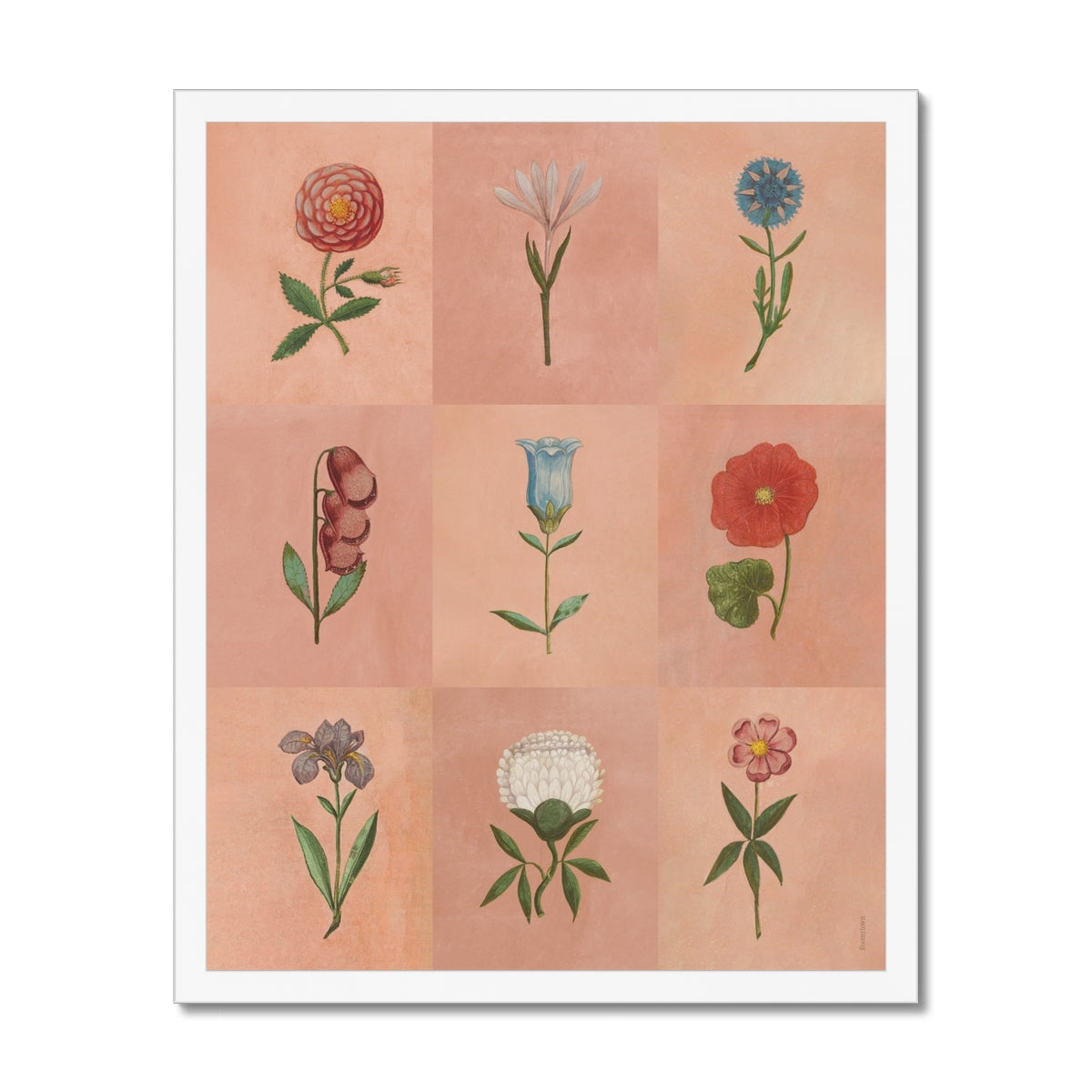 Pink Festival of Flowers Fine Art Print