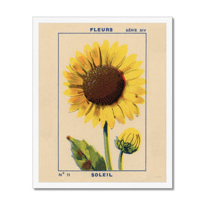 Soleil (Sunflower) Framed Fine Art Print