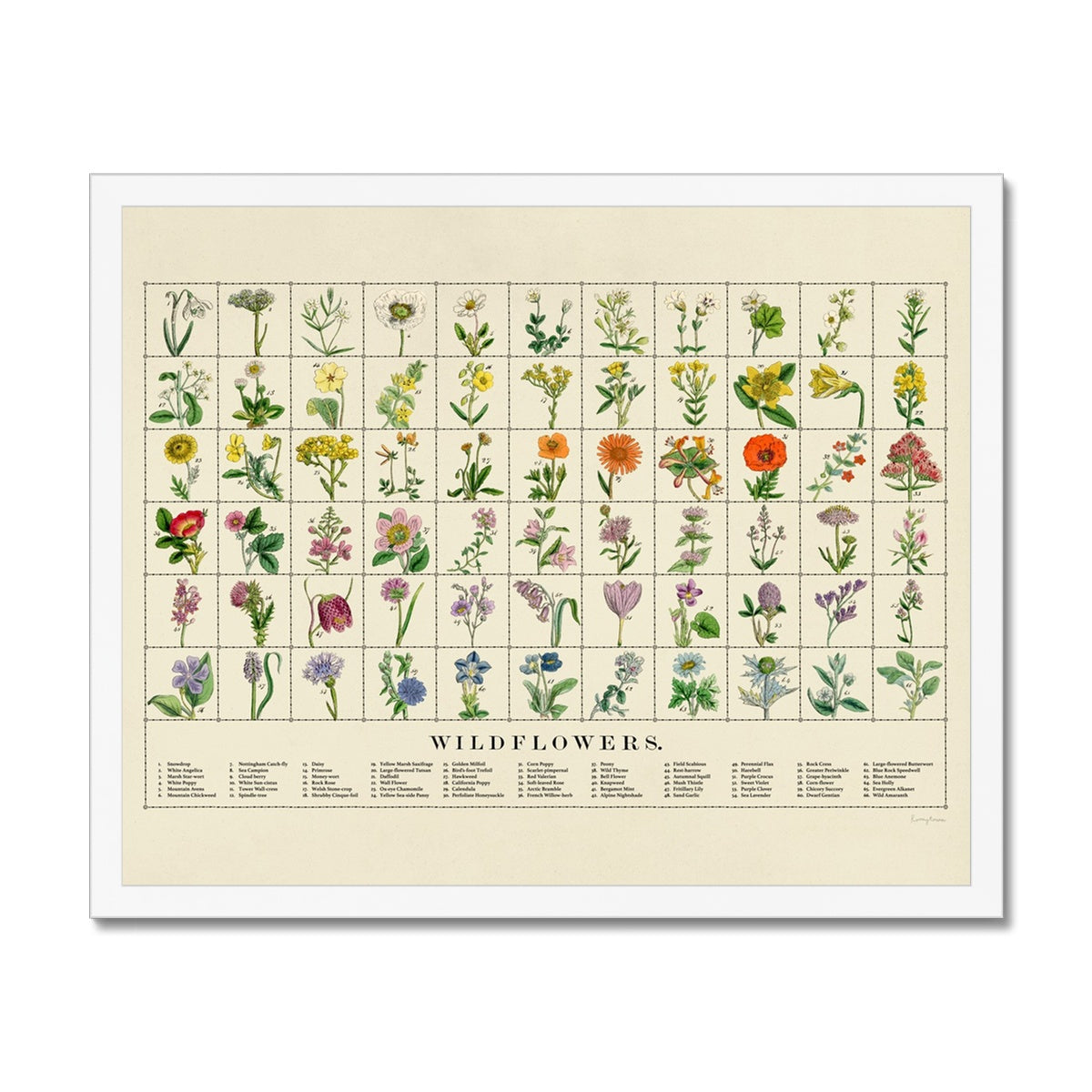 Wildflowers Fine Art Print