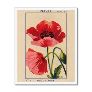 Coquelicot (Poppy) Framed Fine Art Print