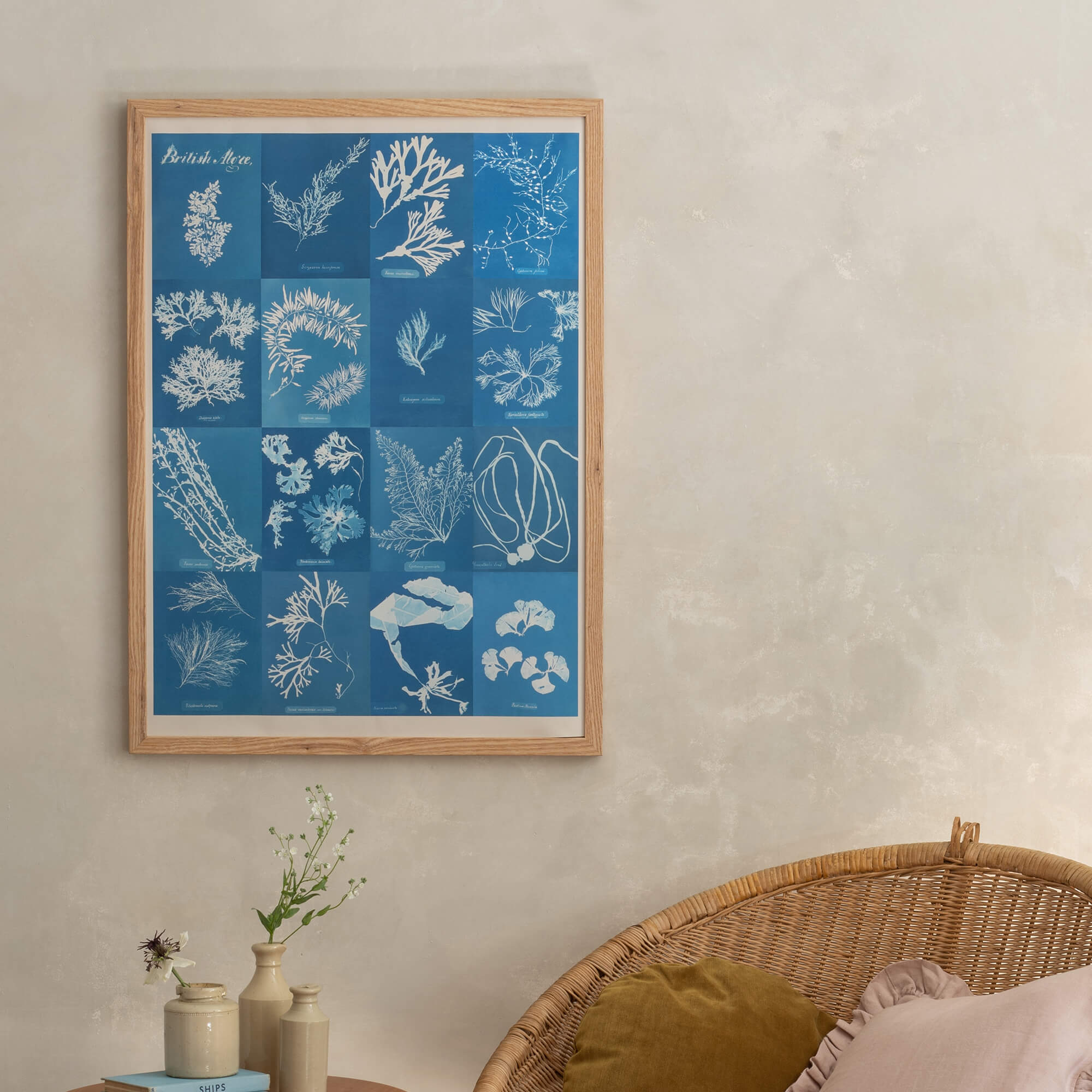 British Algae Cyanotype Impressions Fine Art Print