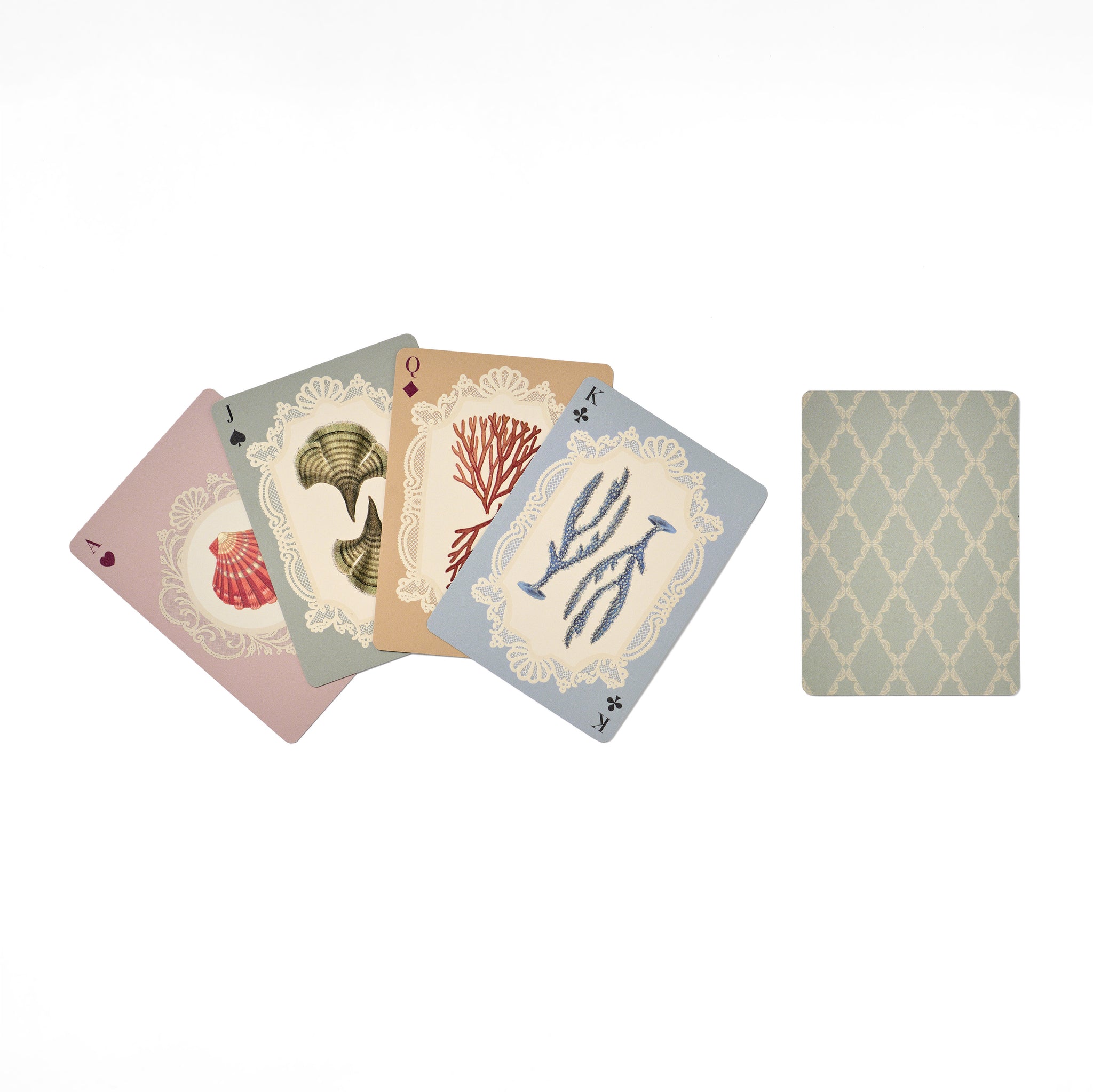 Single Deck Playing Cards - Specimens of the Sea – Roomytown USA
