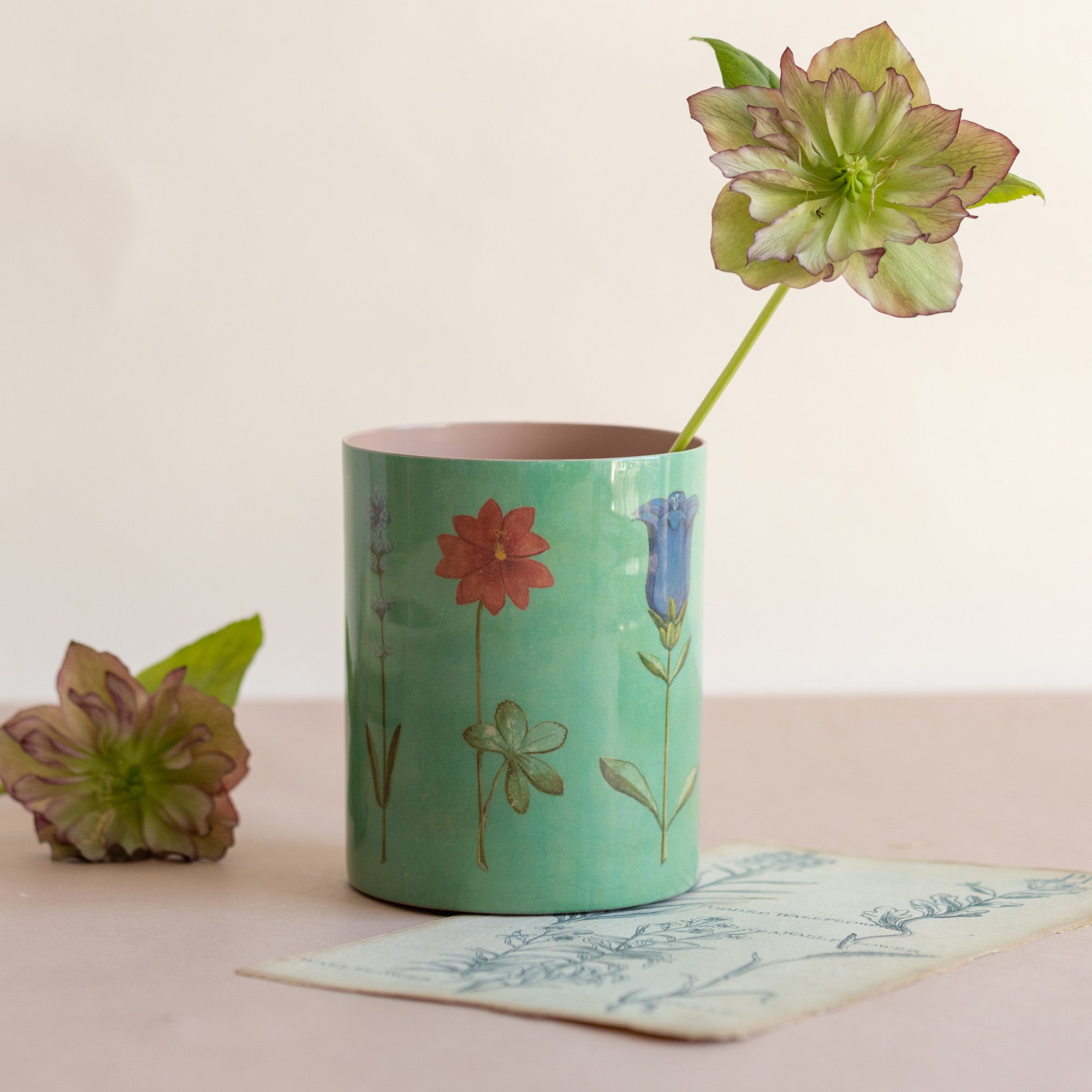 enamel planter pots Enamel Everything Pot