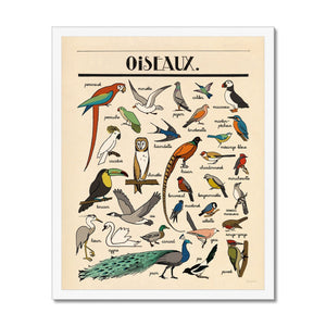 Oiseaux Framed Fine Art Print