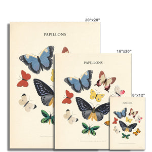 Papillons Fine Art Print