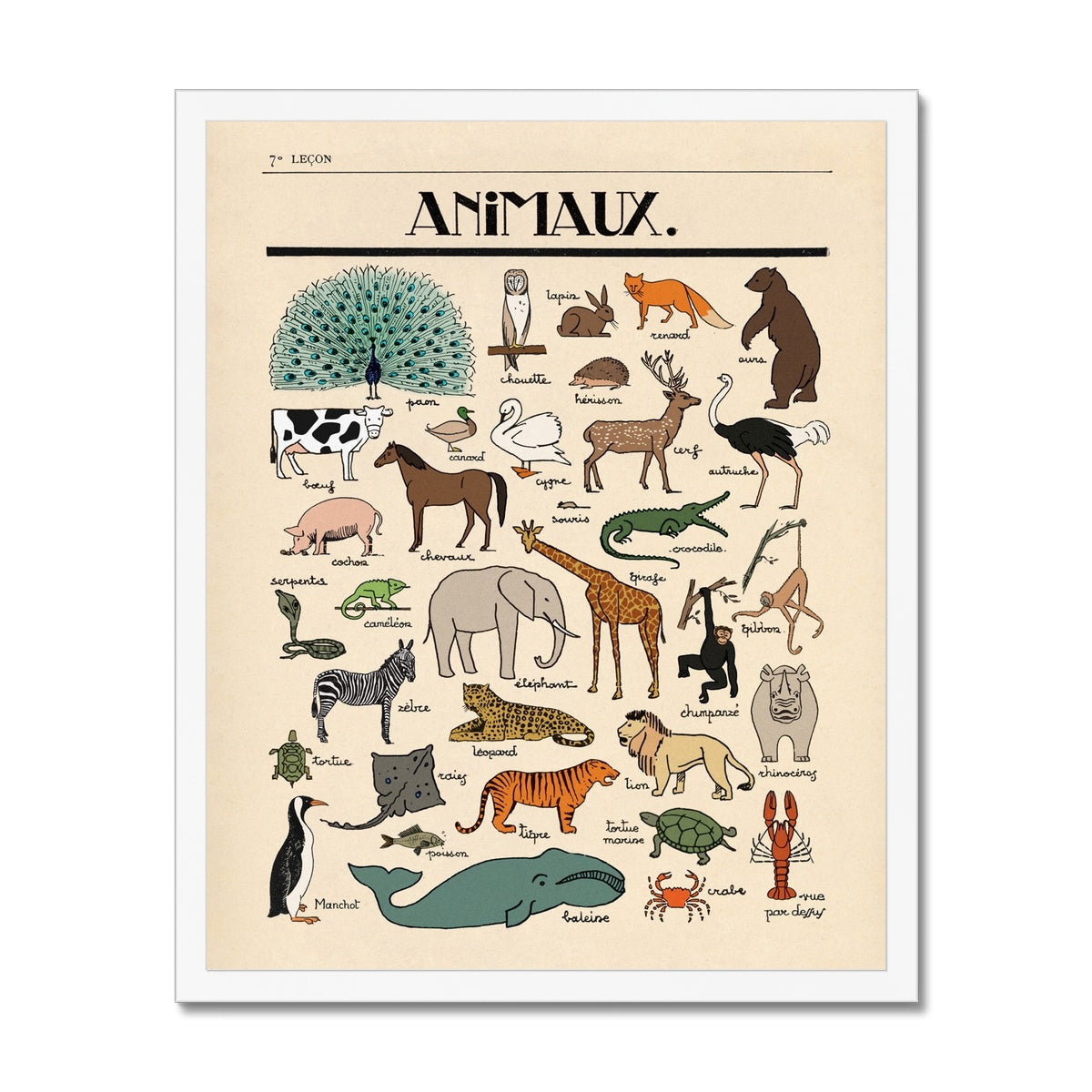 Les Animaux Fine Art Print