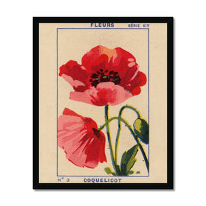 Coquelicot (Poppy) Framed Fine Art Print