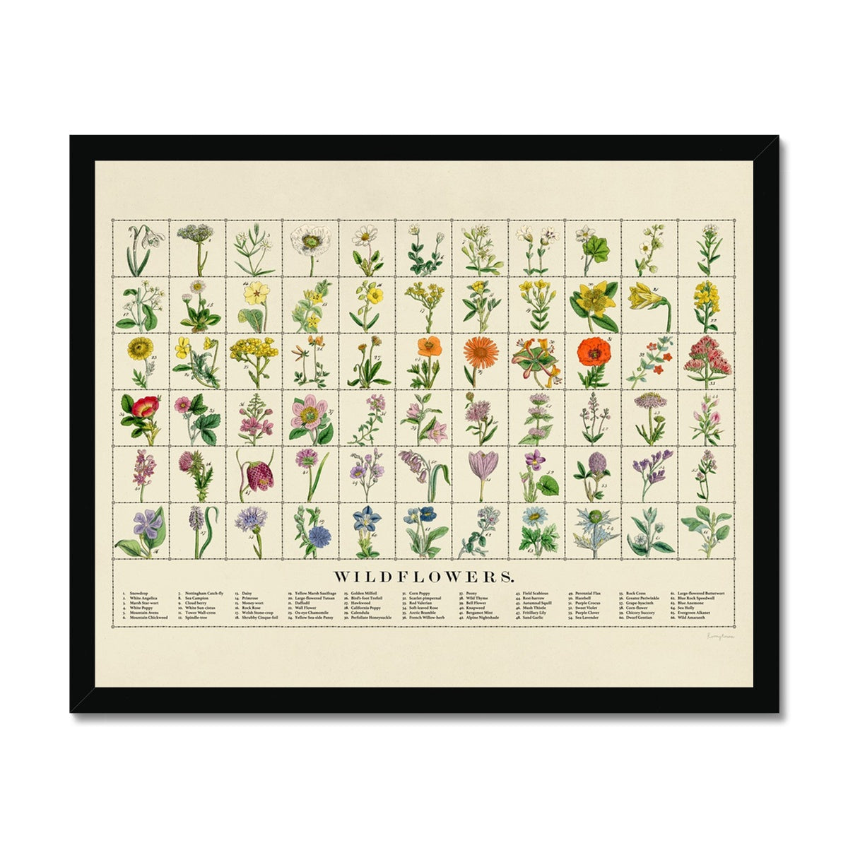 Wildflowers Framed Fine Art Print