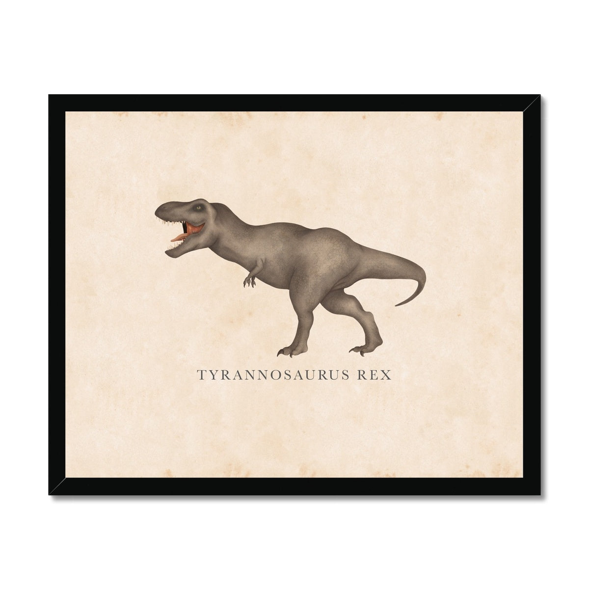 Vintage Tyrannosaurus-Rex Framed Fine Art Print