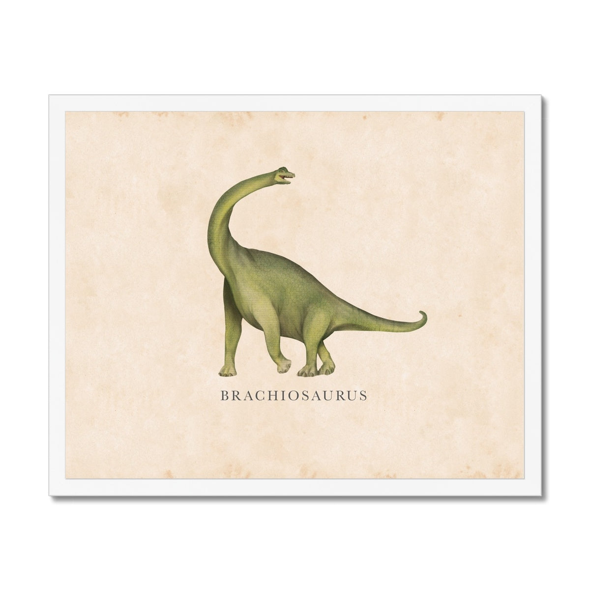 Vintage Brachiosaurus Framed Fine Art Print