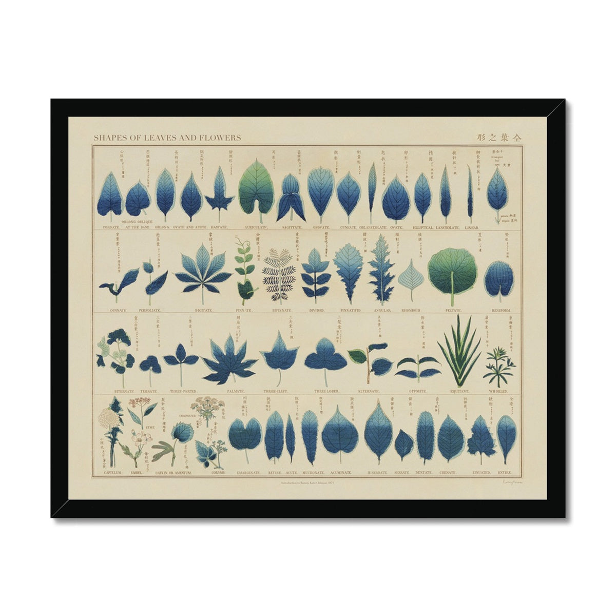 Japanese Shapes of Leaves & Flowers Framed Fine Art Print