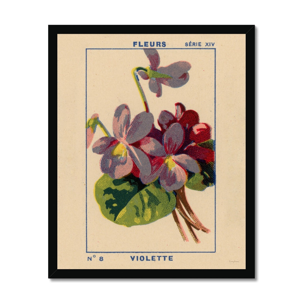 Violette (Violet) Fine Art Print