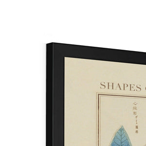 Japanese Shapes of Leaves & Flowers Framed Fine Art Print