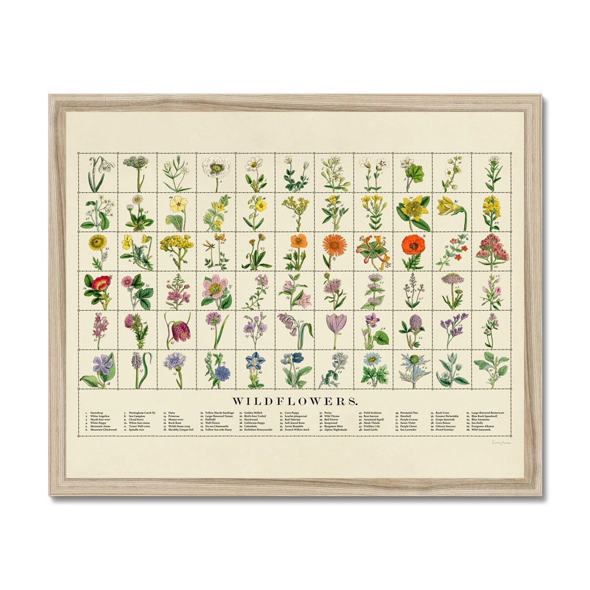 Wildflowers Fine Art Print