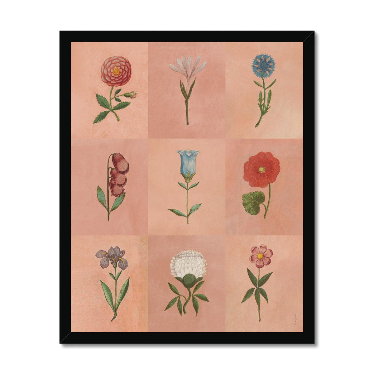 Pink Festival of Flowers Fine Art Print